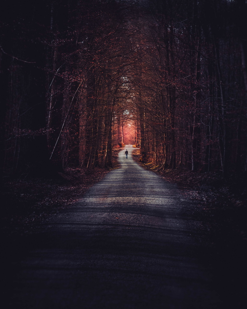 light, diminishing perspective, fairfilter, road, tranquil scene, middle, the way forward, moody, woodland, 1080P, road trip, treelined, tress, architecture