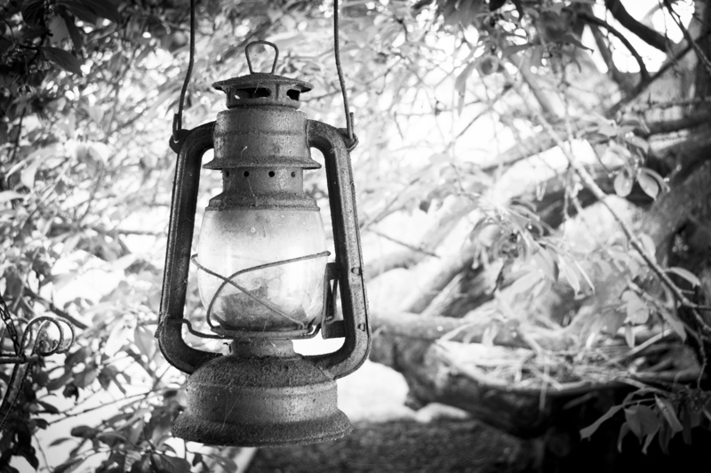 oil lamp, tree, retro styled, black and white, old, old lighthouse, plant, day, lighthouse, electric lamp, hanging, old streetlight, close-up, still life