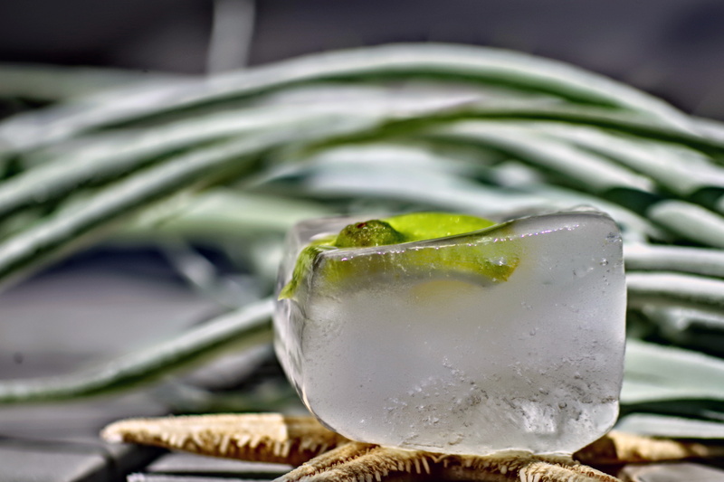 drink, selective focus, vegetable, deco, household equipment, fruit, food, starfish, glass, cocktail, frozen, icy, cold, refreshment, cold temperature