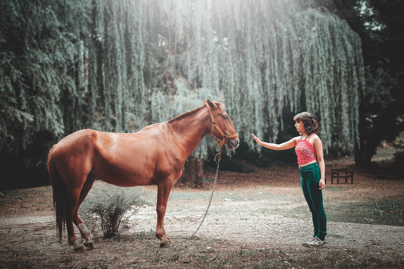 day, real people, domestic animals, pets, one person, front, standing, livestock, wood, domestic, nature, 4K, daytime, side view, face, s, tall, animal wildlife