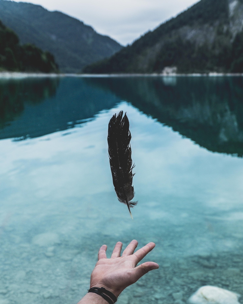 fly, peaceful, white, black feather, color Image, shutter speed, beside, cloud, outdoors, water, feather, person, teal, calm, bird, grab, mountain lake