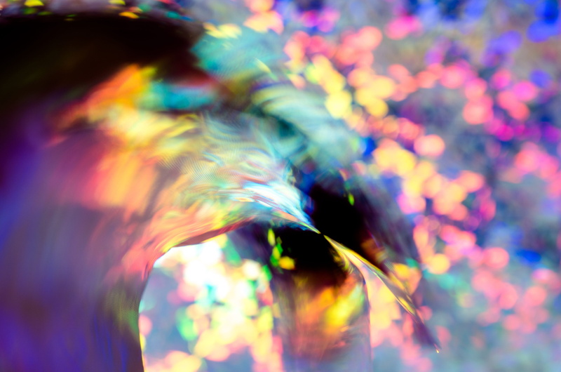 no people, abstract backgrounds, defocused, growth, macro, pattern, illuminated, background, beauty in nature, multi colored, full frame, nature, close-up