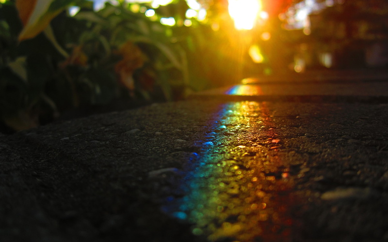 2K, colorful, sunlight, rainbows, plants, lights, asphalt