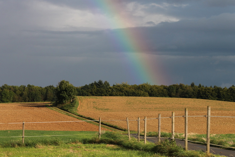 environment, nature, meteorological phenomenon, natural spectacle, weather, day, spectrum, 4K, light phenomenon, cloud - sky, scenics - nature, landscape