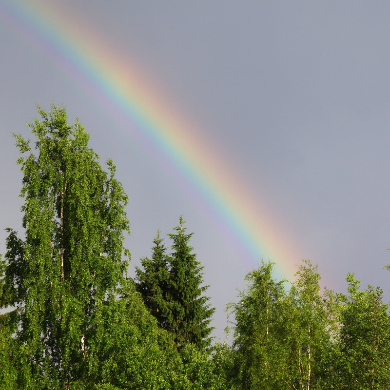 tranquility, natural phenomenon, Natural, multi colored, tranquil scene, beauty in nature, environment, 2K, day, tree, sky, outdoors, no people, green color