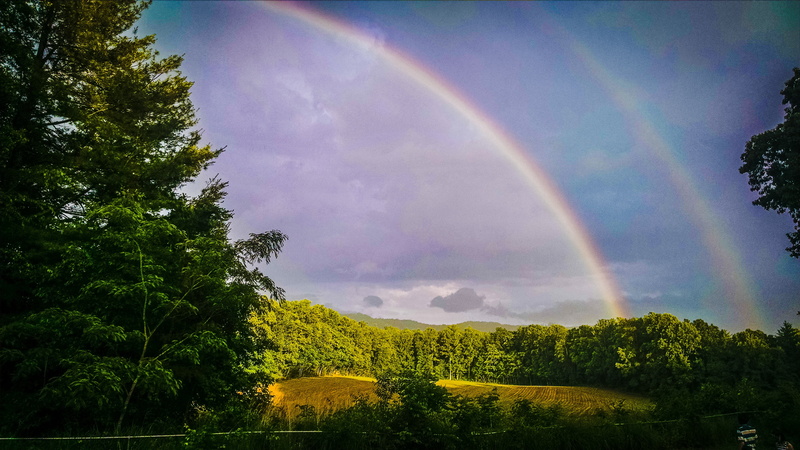 trees, view, beauty in nature, tree, landscape, colorful, forest, double, photo, spectrum, meteorology, tranquil scene, weather, outdoor, multi colored