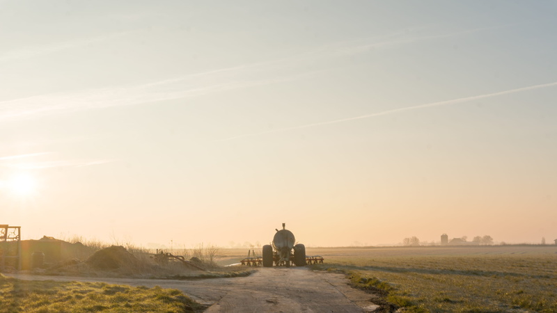 horse, rural, countryside, animal themes, sunlit, landscape, morning, sunlight, plant, machine, livestock, domestic animals, green, sneek, sky, grass, rural scene