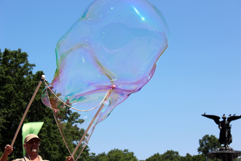 bubble, multi colored, fragility, focus on foreground, sunlight, bubble wand, outdoors, central park, soap sud, tree, soap, new york, day, plant, 5K, low angle view