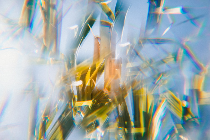 no people, abstract, light ray, explore, growth, artsy, nature photography, prism photography, rainbow, background, large group of objects, 5K, art, backgrounds