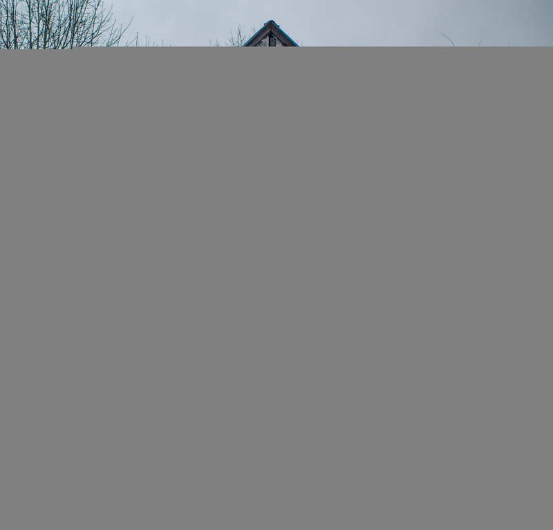 2K, wood, copy space, primative, unrecognizable person, house, protection, forest, architecture, nature, plant, men, home, outdoors, security, cabin, building
