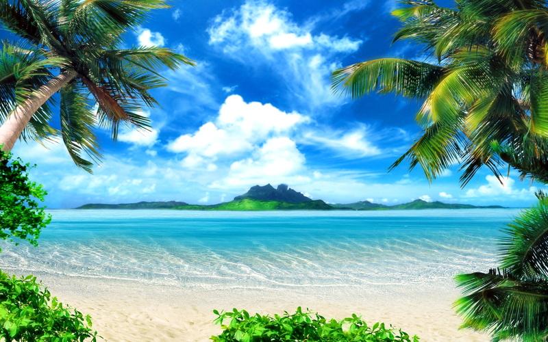 sea, morning, palm, 2K, phot, island, nature, trees
