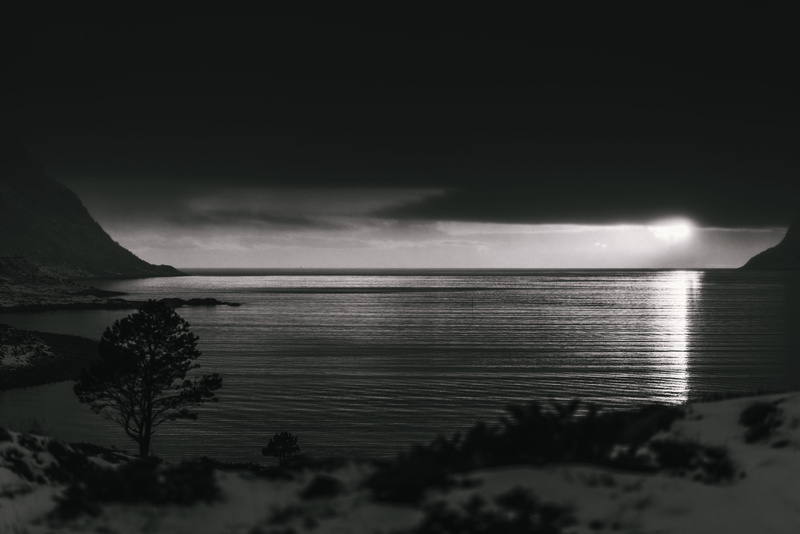 heavy, water, plant, no people, tranquility, dark, sky, cloud - sky, sunset, beauty in nature, tree, anamorphic, outdoors, night, black and white, tranquil scene