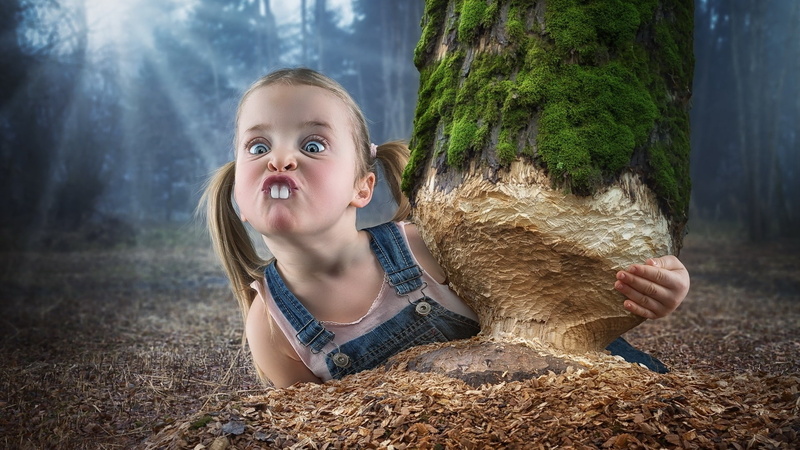Photoshop, buck teeth, trees, tree bark, children, blue eyes, wood chips, digital, tree trunk, sunbeams, pigtails, forest, digital art, moss, outdoors