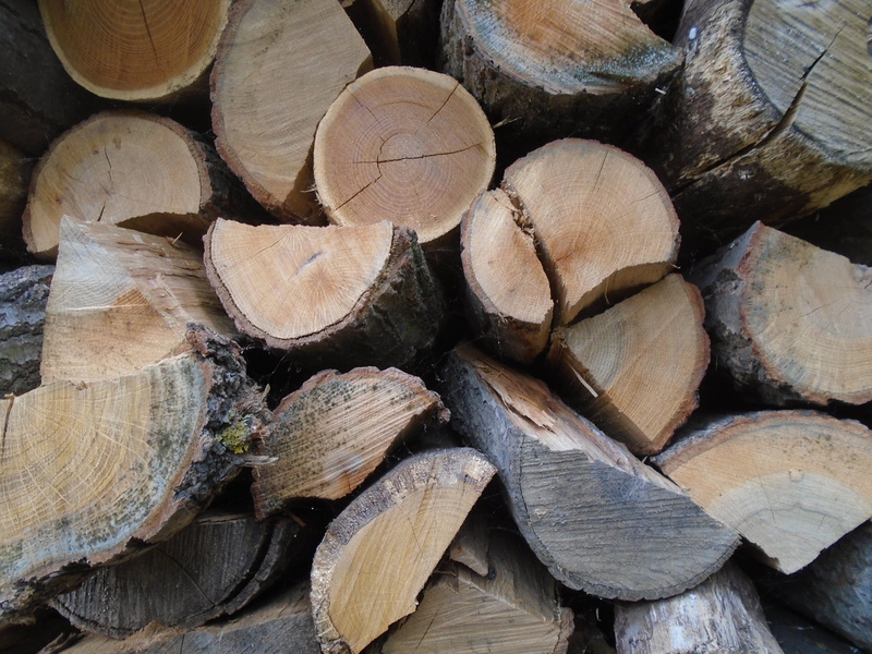 fuel and power generation, design, woodpile, cut, background, fuel, no people, cross Section, ripped firewood, full frame, chopped, backgrounds, forest