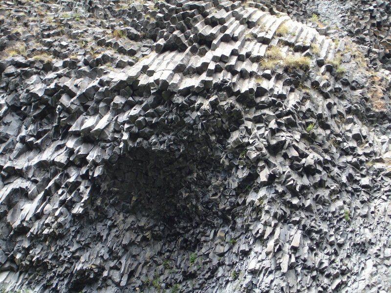 bark, tree, growth, rock, nature, basalt rock, no people, 1080P, basalt, france, ardeche, stone, volcanic, rough, close-up, high angle view, plant, basalt prisms