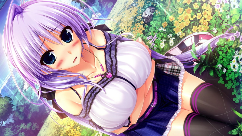 blush, ouka, game, hold, thighhighs, sakigake, hitoshi, oshiki, 2K, flowers, hoshizaki, generation, clochette