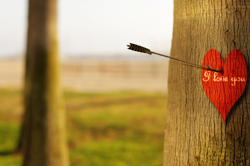 message, boundary, plant, fence, day, fullscreen, red, field, 2K, wooden post, widescreen, blur, post, nature, text, communication, outdoors