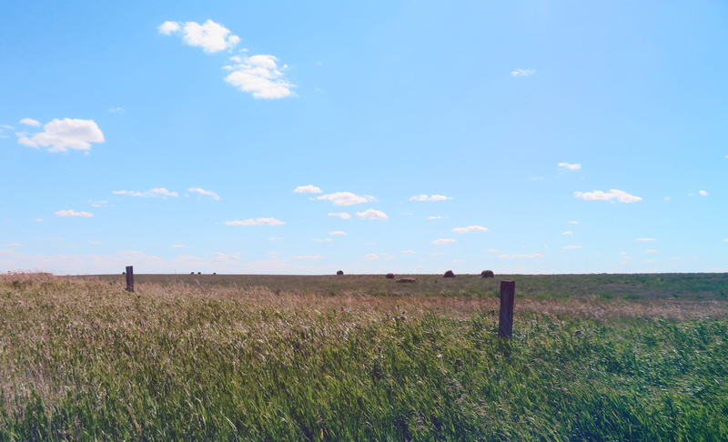day, land, canada, tranquil scene, barrier, summer, plant, 4K, scenics - nature, horizon, meadow, field, prairie, cloud - sky, fence, nature, wooden post
