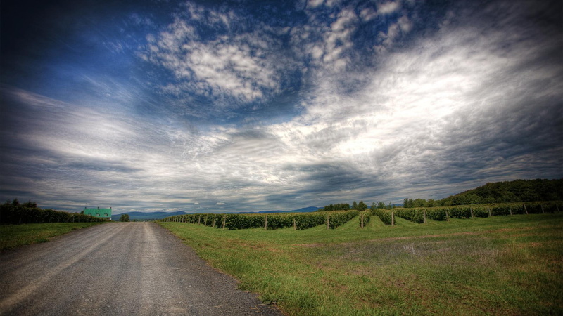 rural, nature and landscapes, road, vinyard, sky, beautiful, 1080P, farm