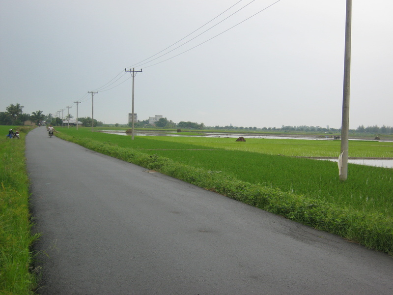 the way forward, grass, direction, road, transportation, sky, environment, cable, no people, plant, field, telephone line, outdoors, nature, Water, diminishing perspective