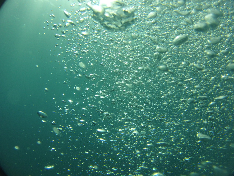 nature, 4K, blue, sea, drink, full frame, marine, bubbling, food and drink, bubble, diving, school of fish, time, backgrounds, air, swimming, blow, ocean