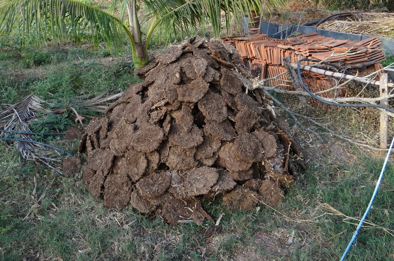 day, nature, wood - material, deforestation, outdoors, large group of objects, Fuel, drying, green, Cow Manure, grass, no people, cows, dried, fertilizer