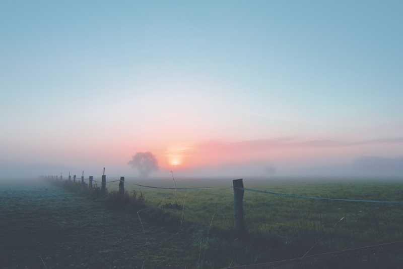 sunrise, land, dawn, morgenrot, sky, field, plant, clouds, environment, shrubs, impaler, wire, green, slurry, mood, boundary, morning, nature, tranquility