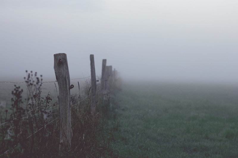 skies, wood - material, landscape, land, tranquility, foggy, boundary, true detective, field, tranquil scene, non-urban scene, fog, impaler, sunrise, nature