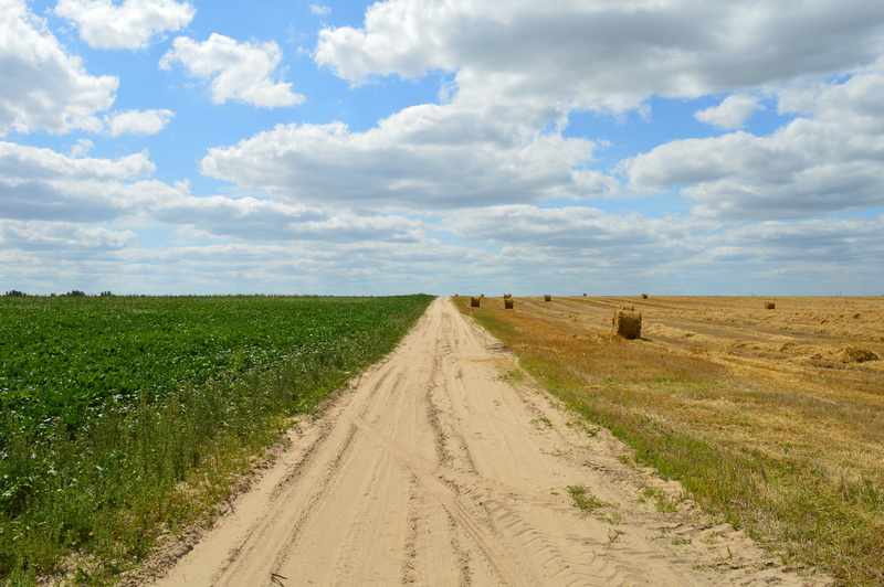 no people, grass, beauty in nature, the way forward, rural Scene, 5K, a pile, landscaped, green, scenics - nature, horizon over land, bale, tranquil scene