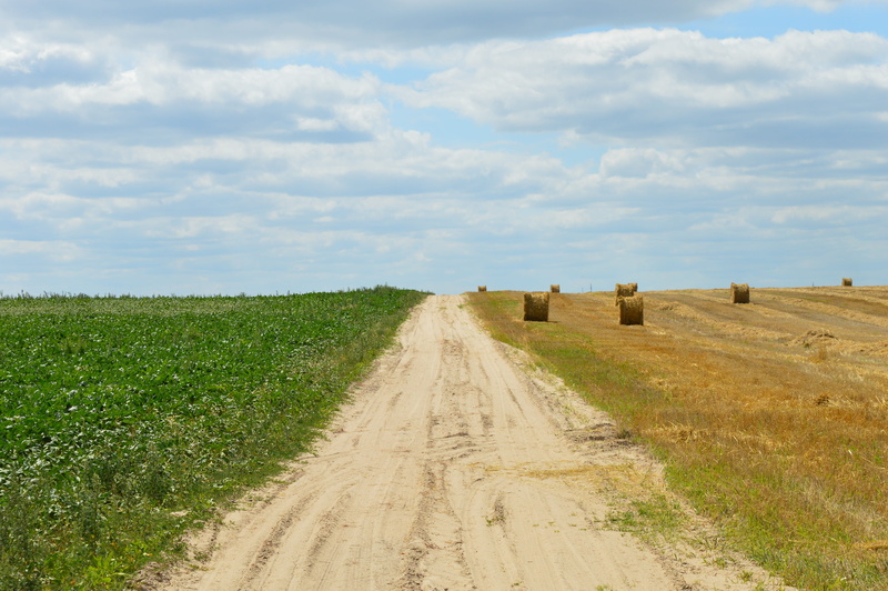 country, sky, Harvesting, non-Urban Scene, road, land, outdoors, landscapes, yellow, blue, no People, beauty in nature, Wheat, dirt road, cereal Plant