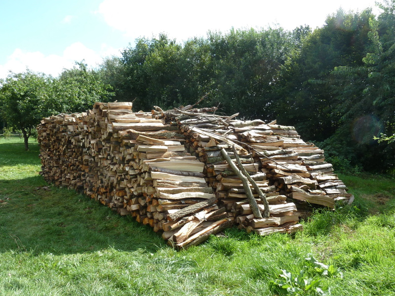 2K, plant, tree, forest, large group of objects, no people, field, timber, firewood stack, Firewood, lumber industry, growing stock, pile of wood, green color