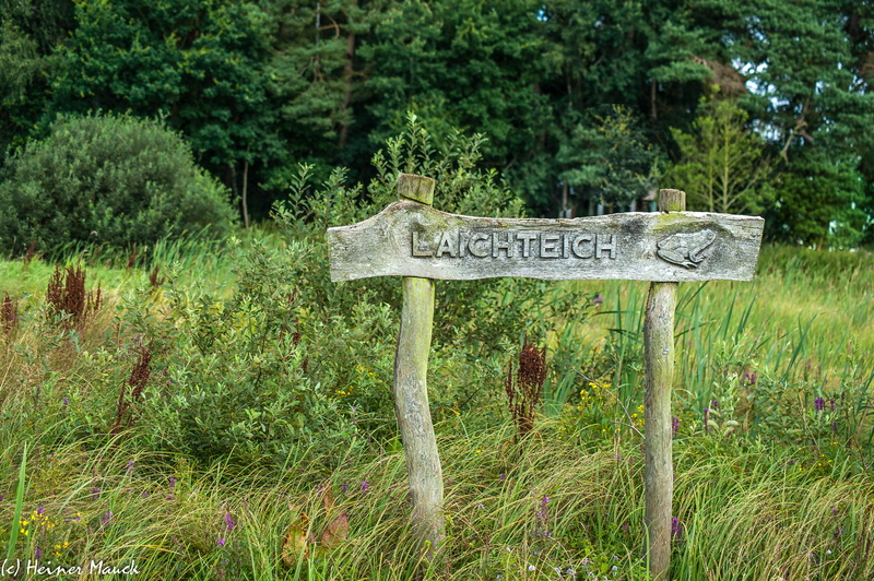 outdoors, text, spawning pond, growth, grasses, field, green color, arrow symbol, tree, grass, nature, 4K, moor, western script, guidance, information sign