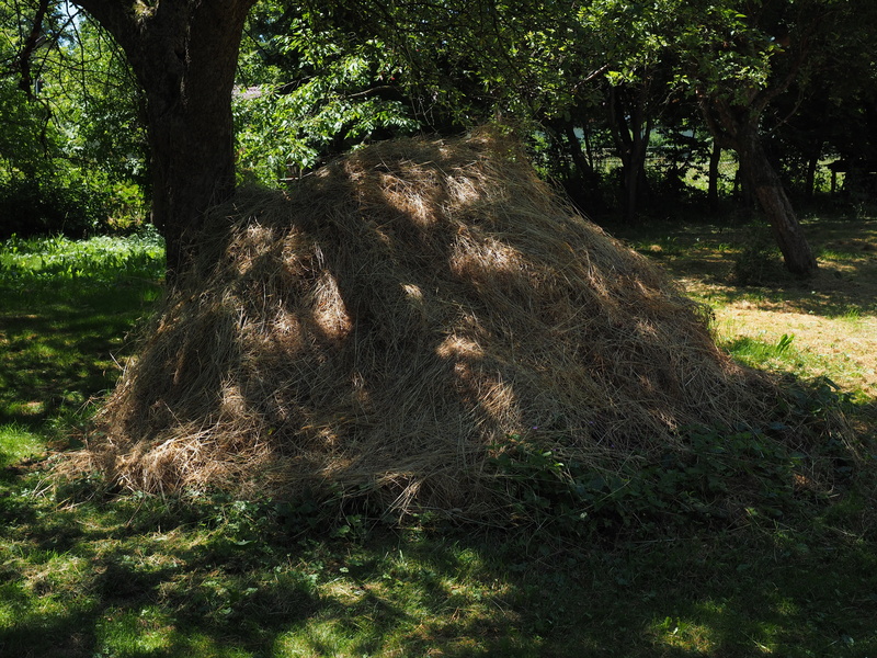 growth, 4K, outdoors, meadow, nature, land, hay, haystack, shadow, tranquil scene, tranquility, tree, grass, beauty in nature, field, day, sunlight, no people