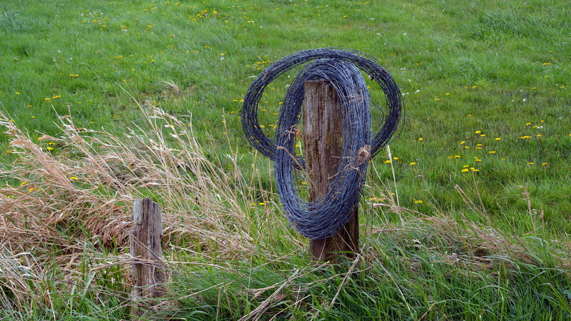5K, outdoors, wire, green, pasture fence, blue, green color, environment, landscape, tranquility, fence, metal, post, agriculture, strength, no people