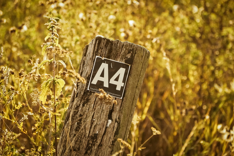 growth, outdoors, green, path, tree, directory, trail, guidance, information, wood - material, scenic, shield, wood pile, nature, symbol, text, grass, field