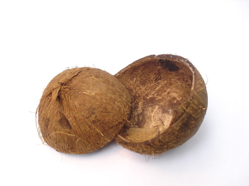 cut out, still life, coconut shell, coconut, palm, brown, food and drink, healthy eating, indoors, white background, close-up, nut - food, freshness, wellbeing