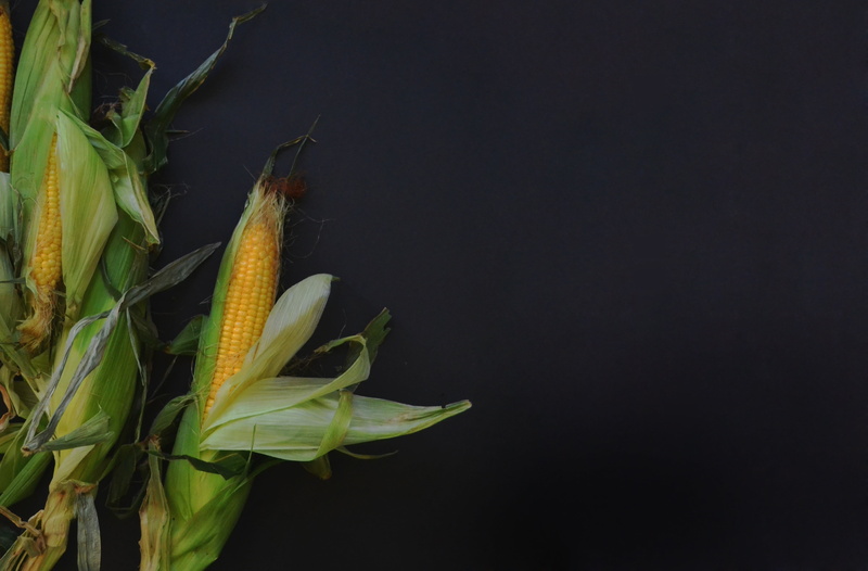 ripe, plant part, copy space, leaf, nature, food and drink, harvest, husk, night, green color, freshness, close-up, sweetcorn, cob, black, black background