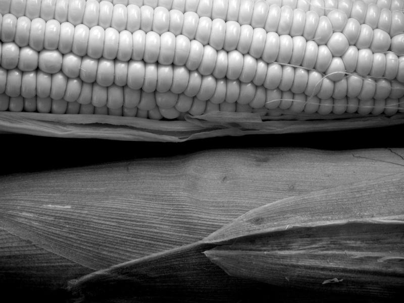 day, indoors, still life, close-up, choice, cob, husk, black and white, corn on the cob, vegetable, wood - material, food and drink, wellbeing, sweetcorn