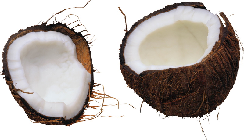 cross Section, white, husk, white background, indoors, food and drink, coconut, half Full, vegetarian Food, cut out, cut, 2K, nature, studio shot, coco