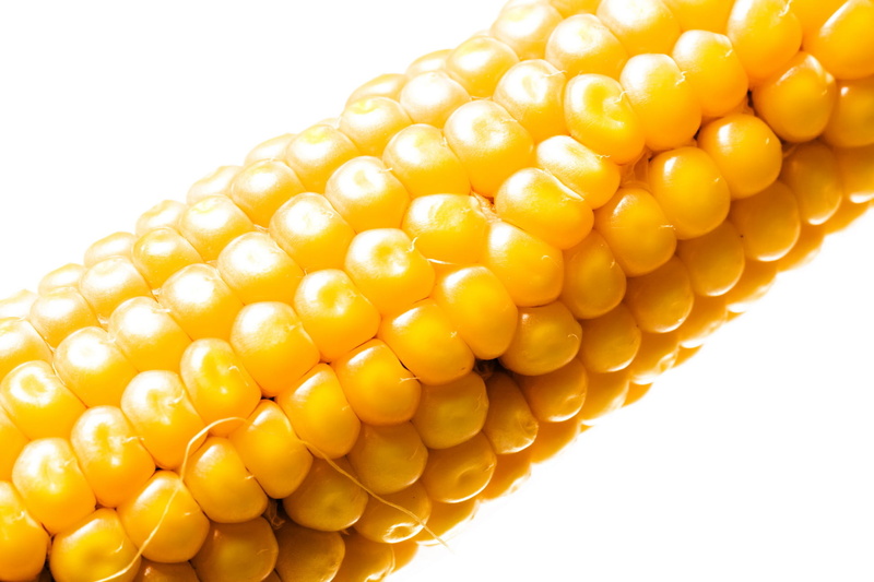yellow, background, crop, nutrition, produce, white background, organic, raw food, sweet, grain, corncob, meals, leaf, agriculture, food, popcorn, whole