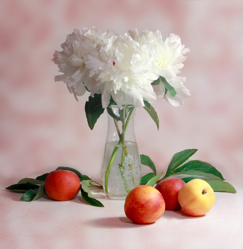 vulnerability, fragility, flowers, peaches, 2K, bright, cluster, focus, fruit, flora, flower head, flower arrangement, white, selective, healthy eating