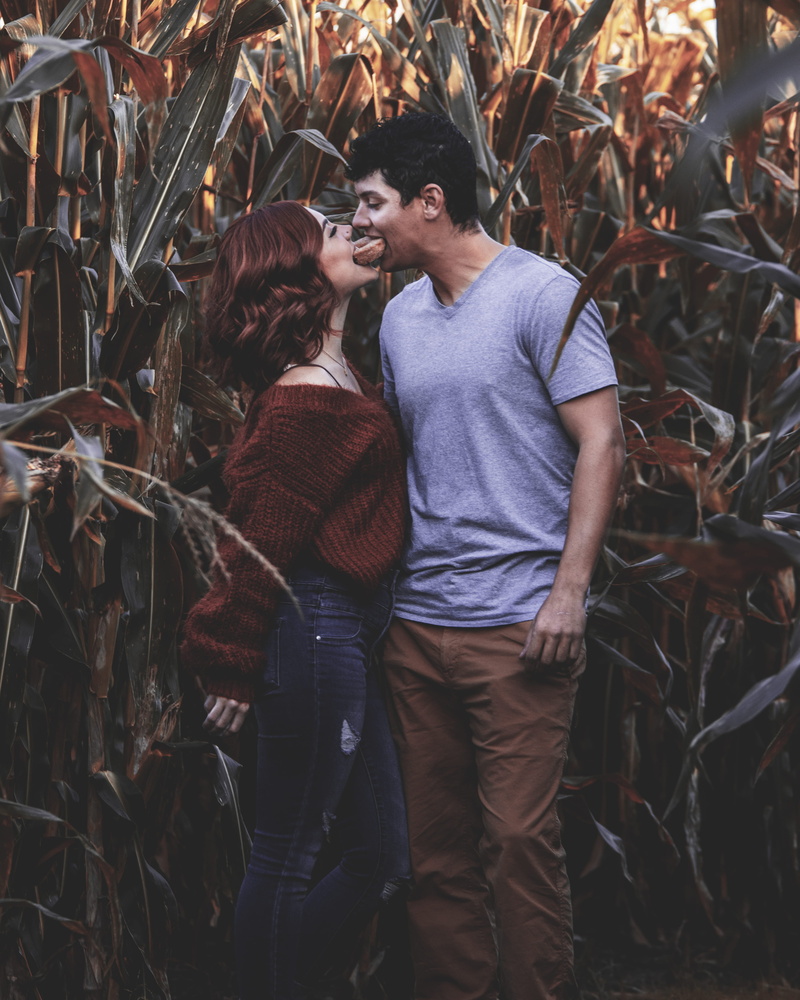 smiling, bread, togetherness, relaxation, embracing, couple - Relationship, husk, country, field, leisure Activity, girlfriend, sharing, farm, females