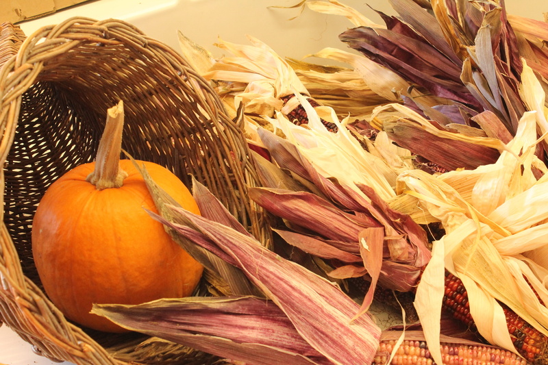 retail, colorful, cob, rustic, still life, market, color, pumpkin, raw food, close-up, decoration, yellow, decorative, dried, red, food, container, healthy eating