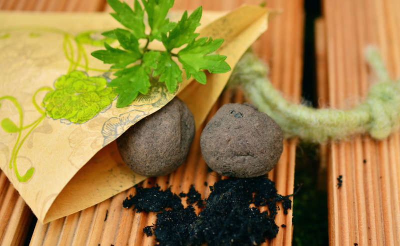 herb, wellbeing, wood - material, food, beauty in nature, no people, day, seed bombs, gardening, high angle view, focus on foreground, seeds, 5K, seed balls