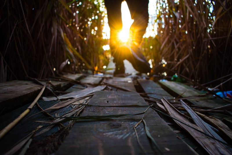 daylight, nature, hoods, wood planks, 5K, Man behind the sun