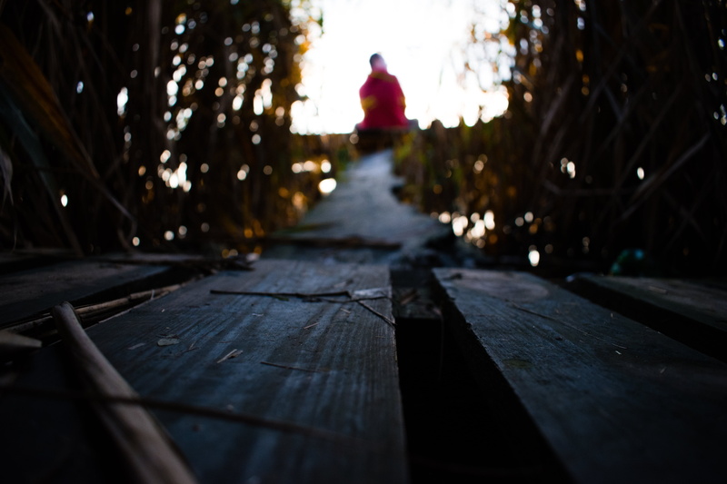 5K, wood planks, nature, Man behind the sun, daylight, hoods