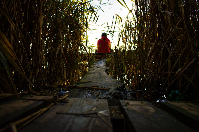 Man behind the sun, hoods, 5K, nature, daylight, wood planks