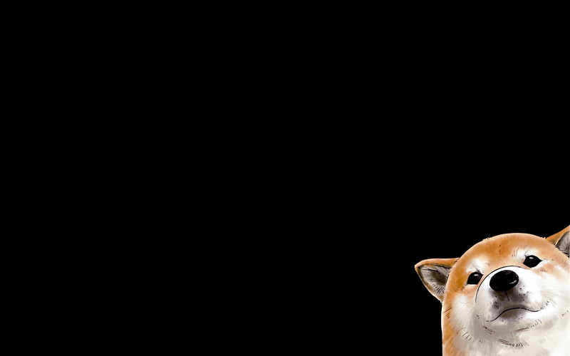 black, corgi, dogs, background, 720P
