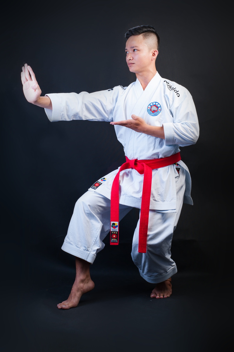 standing, young adult, adult, healthy lifestyle, young men, clothing, hand, wearing, kicking, sport, karate, looking away, front view, fist, one person