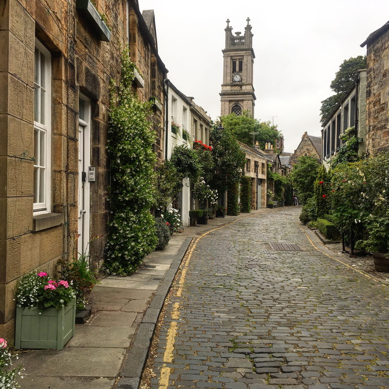 growth, sightseeing, nature, no people, city, religion, quaint street, historic, belief, capital, outdoors, direction, plant, footpath, circus lane, lane